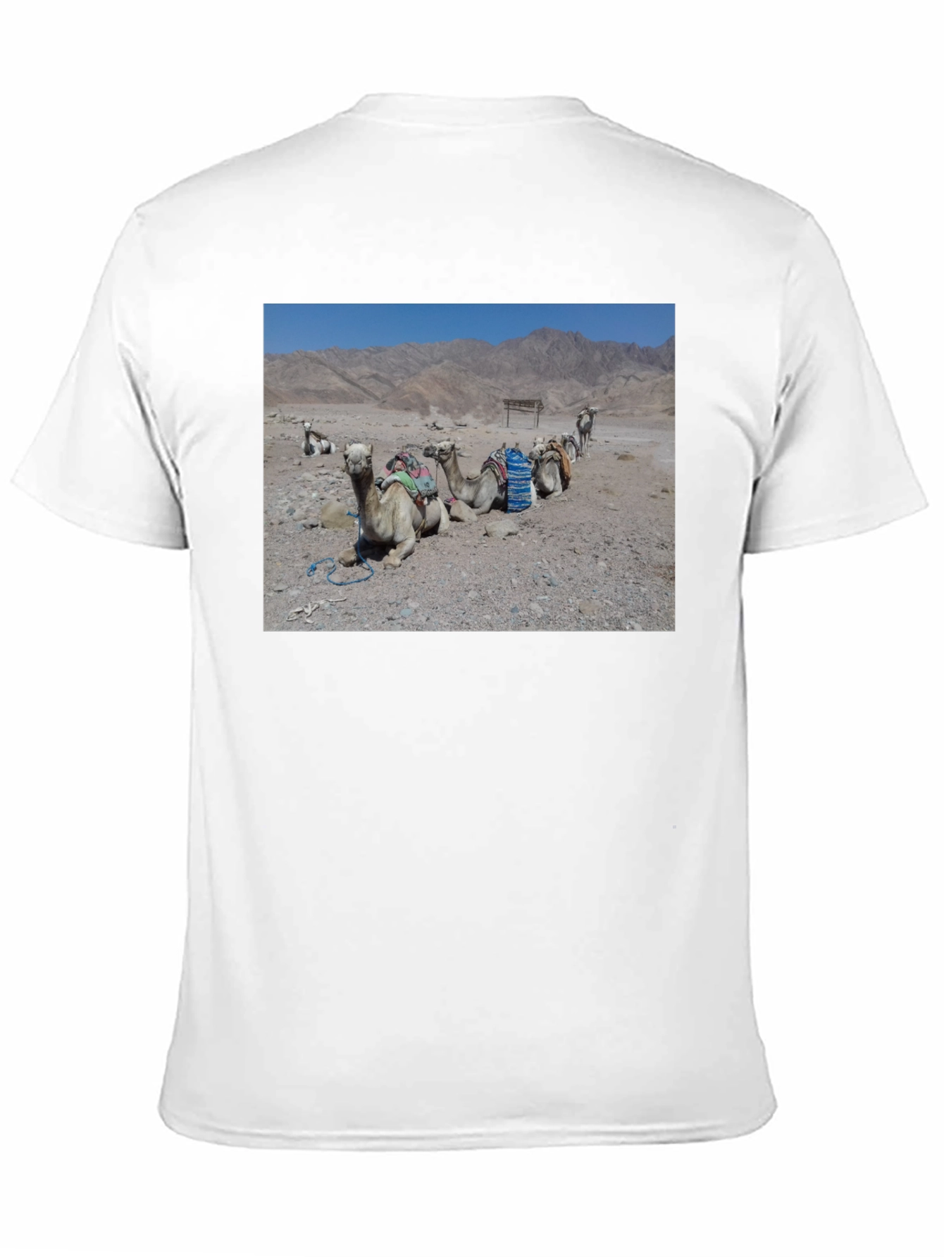 Camel Scene Graphic T-Shirt