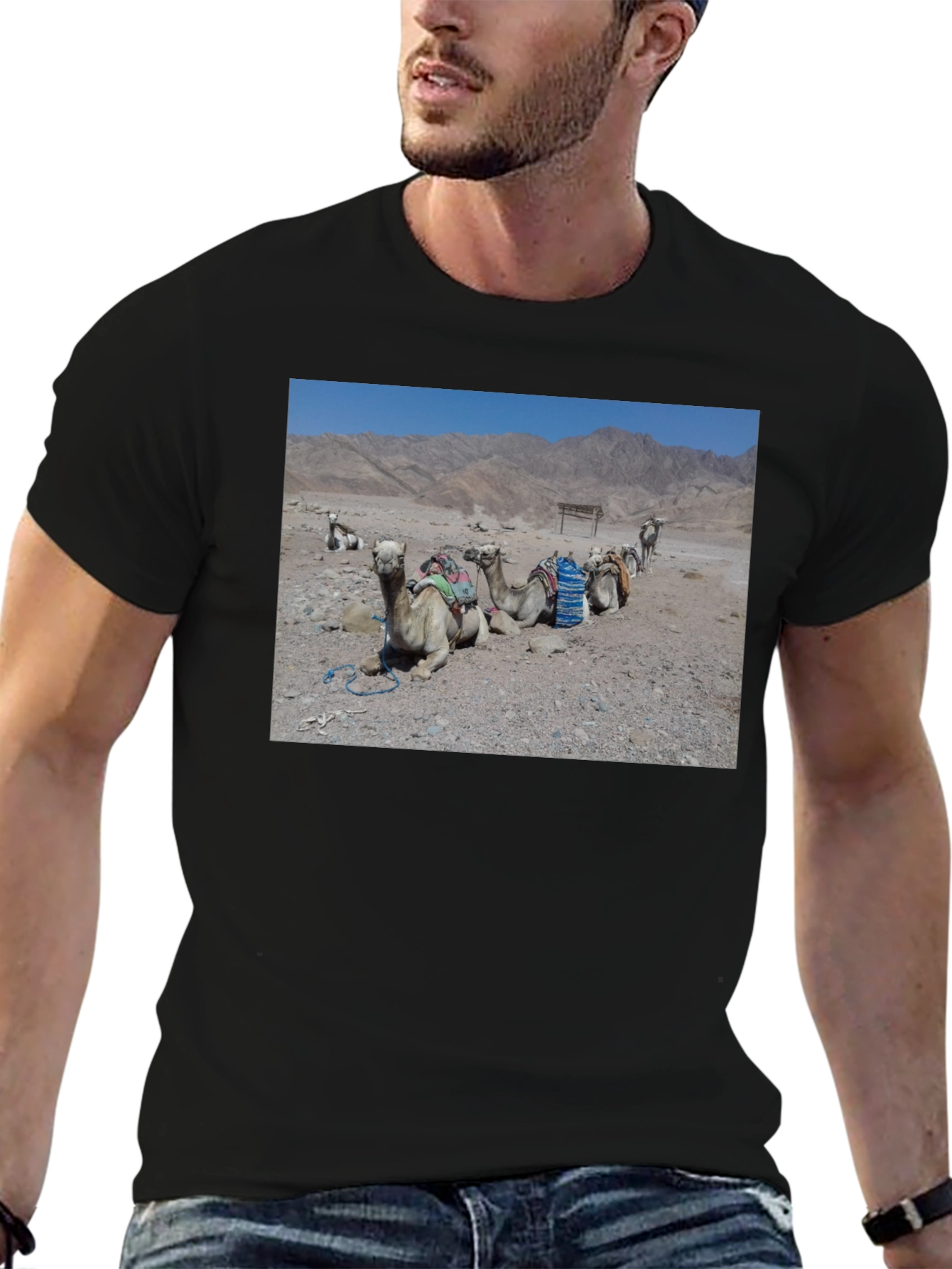 Camel Scene Graphic T-Shirt