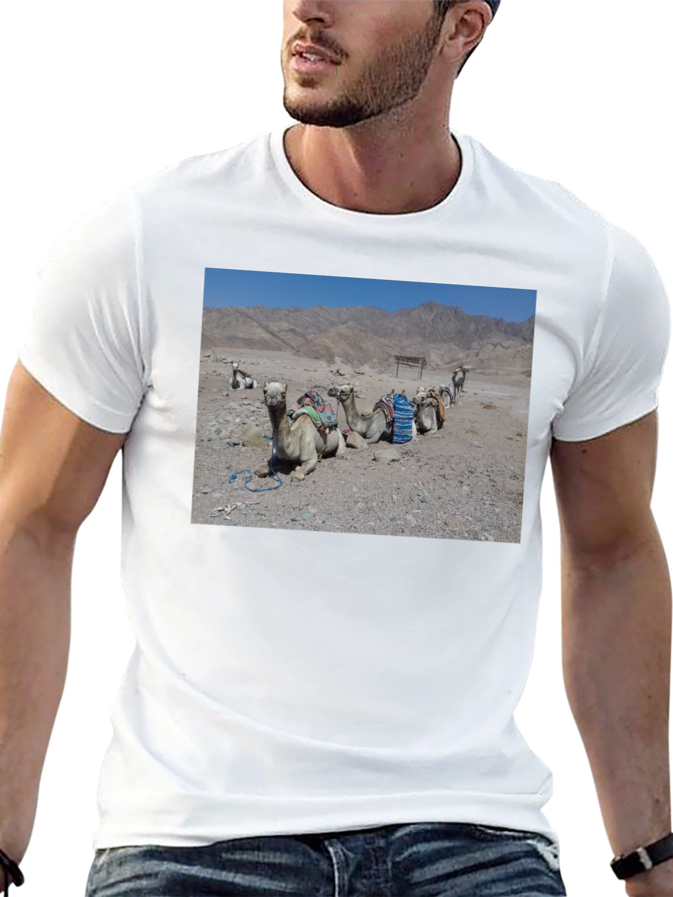 Camel Scene Graphic T-Shirt