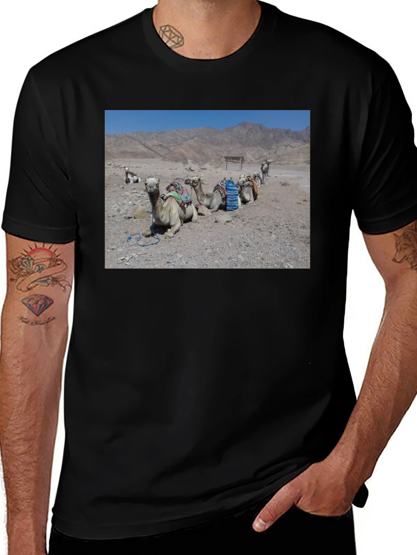 Camel Scene Graphic T-Shirt