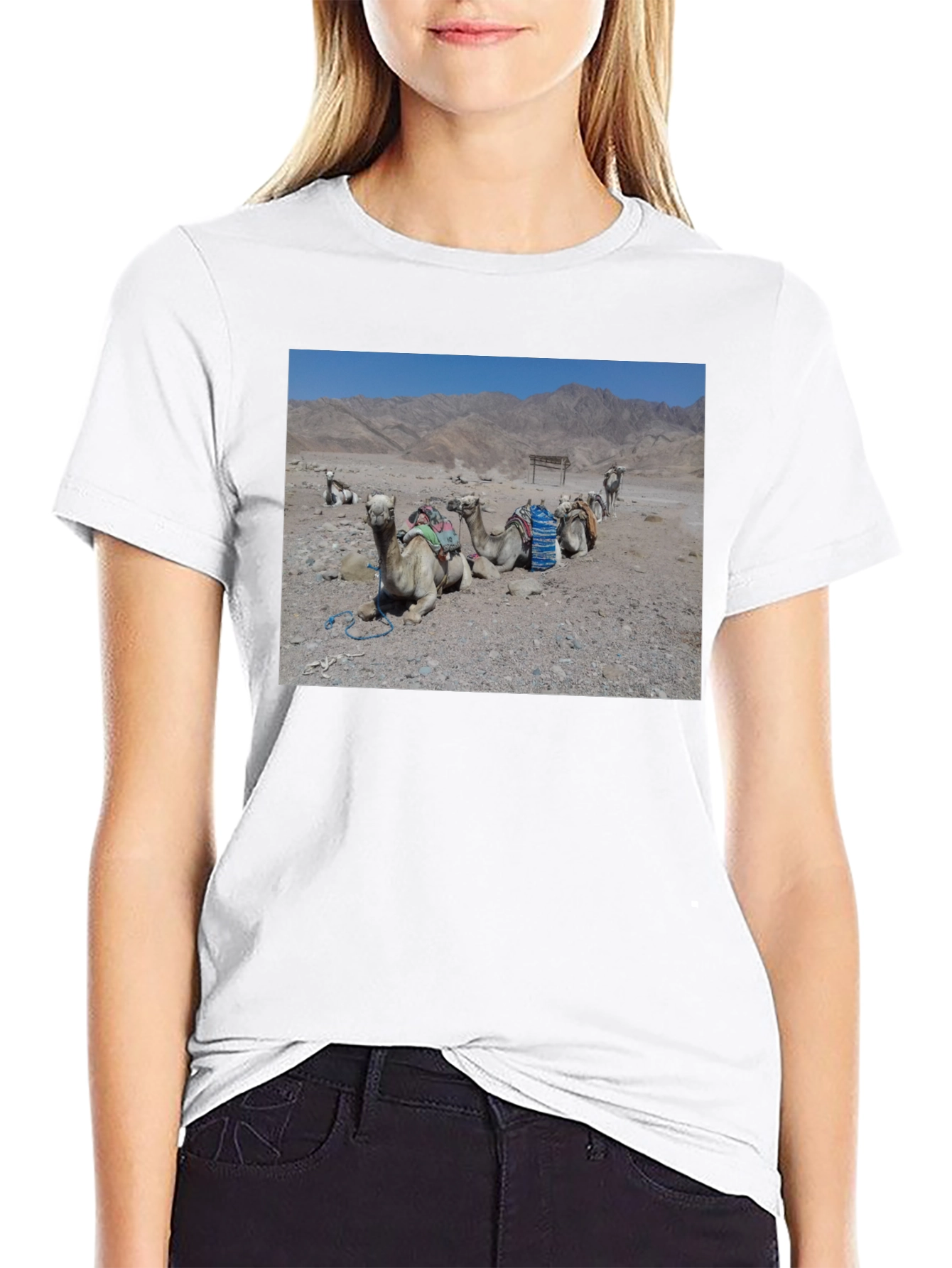 Camel Scene Graphic T-Shirt