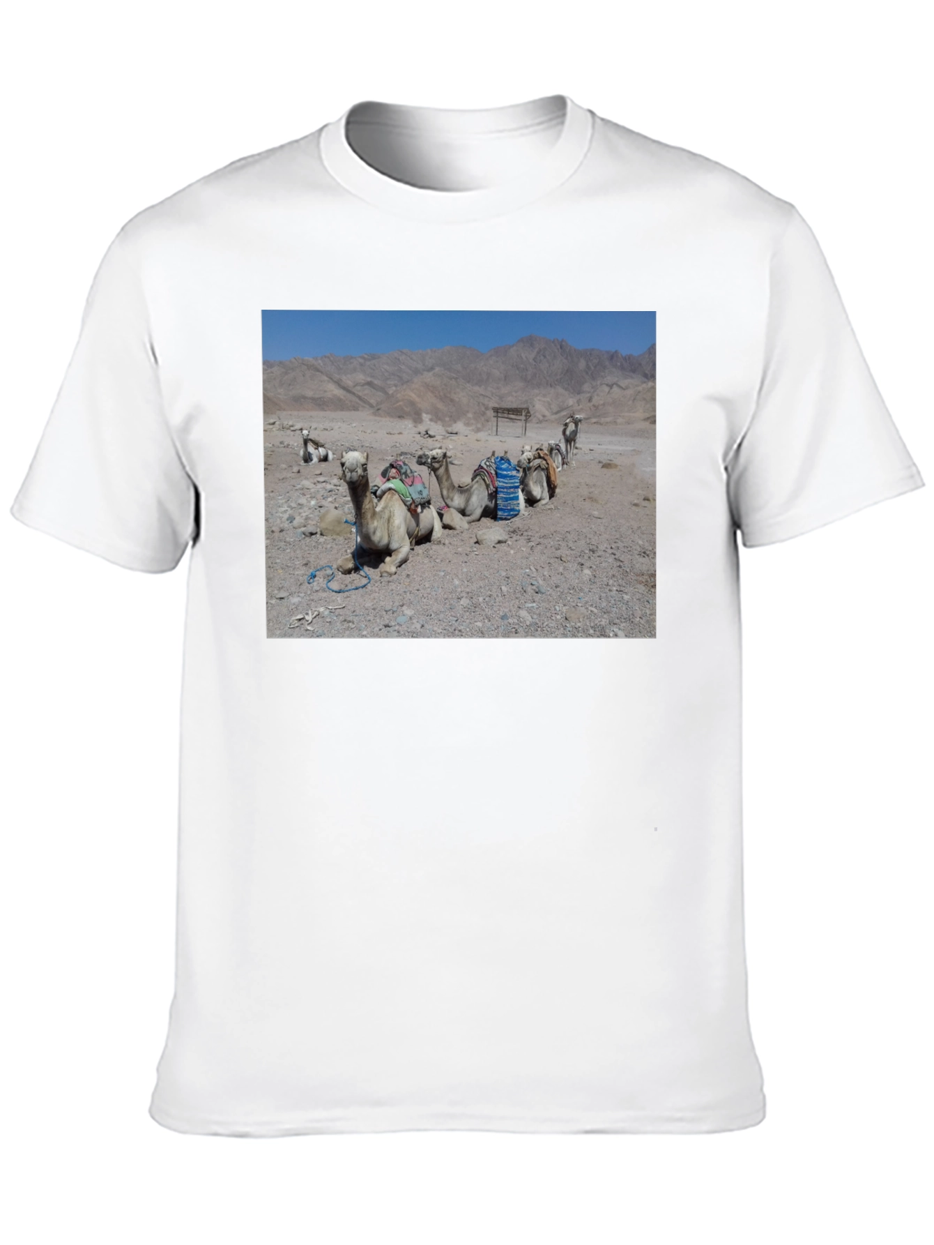 Camel Scene Graphic T-Shirt