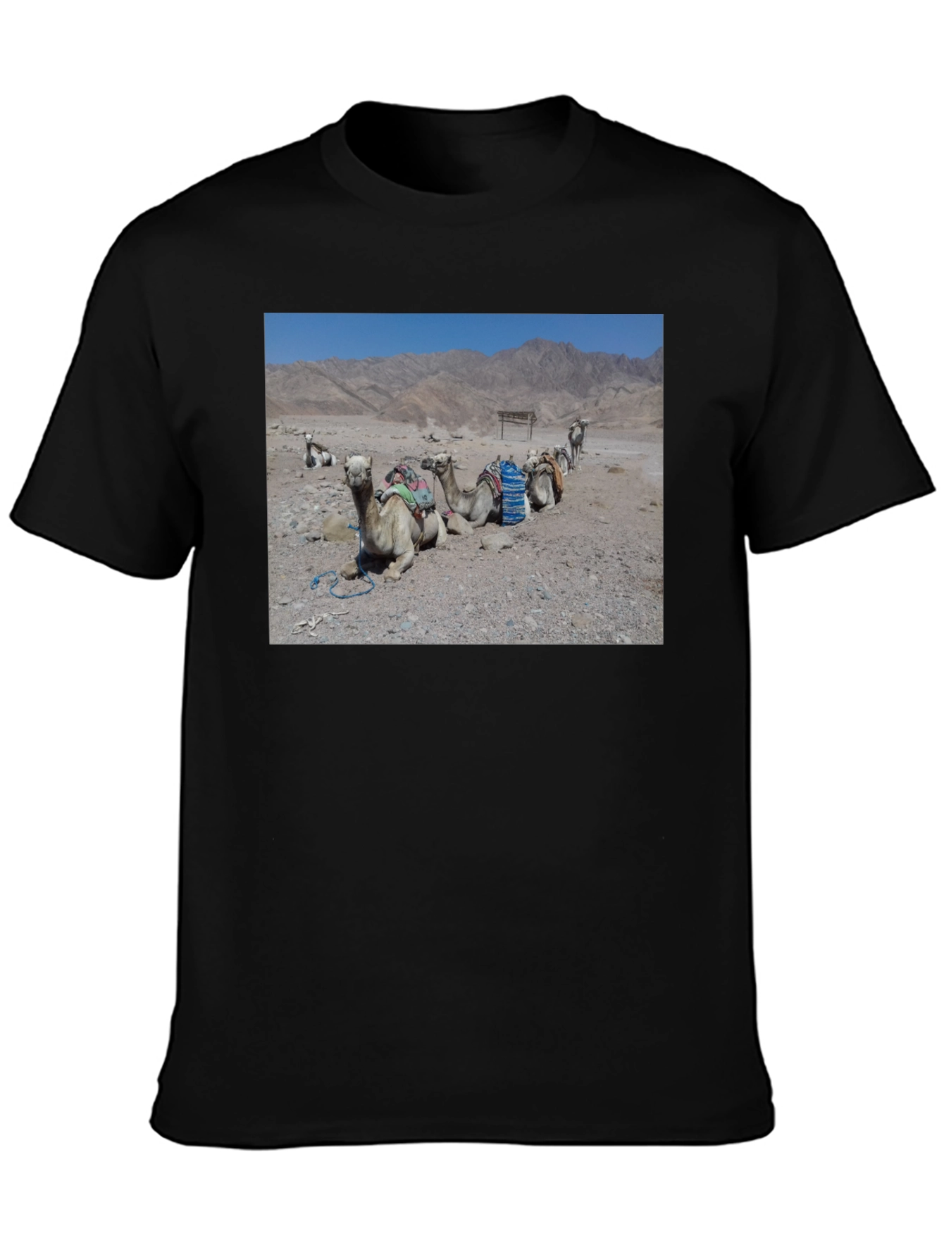 Camel Scene Graphic T-Shirt