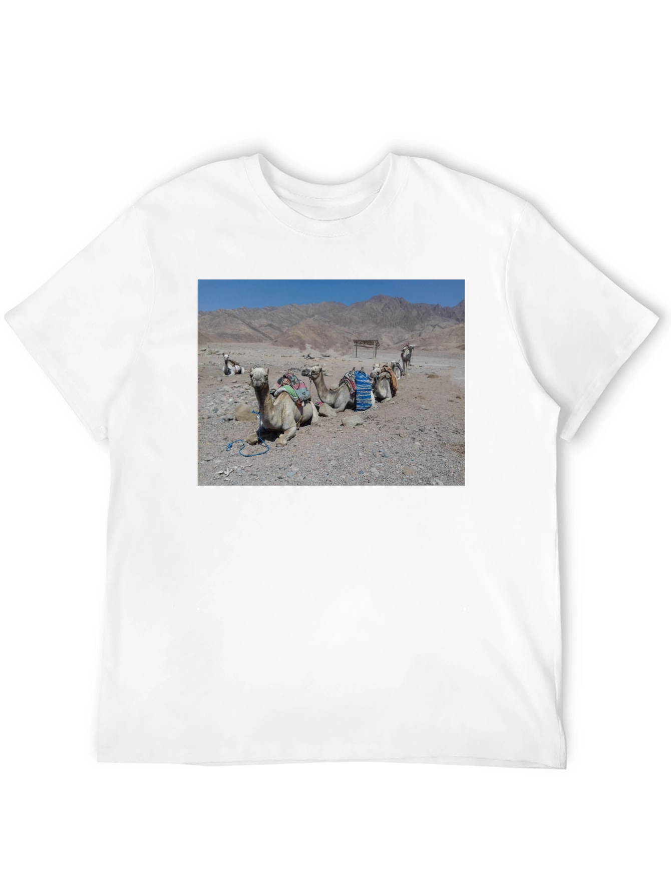 Camel Scene Graphic T-Shirt