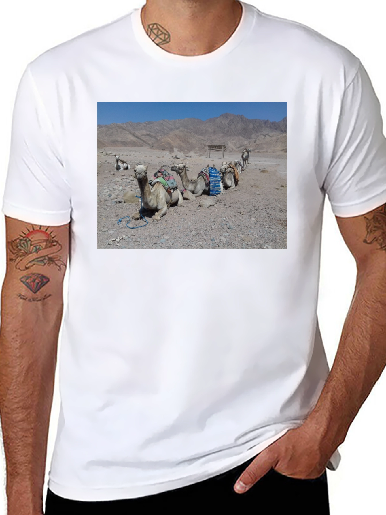 Camel Scene Graphic T-Shirt