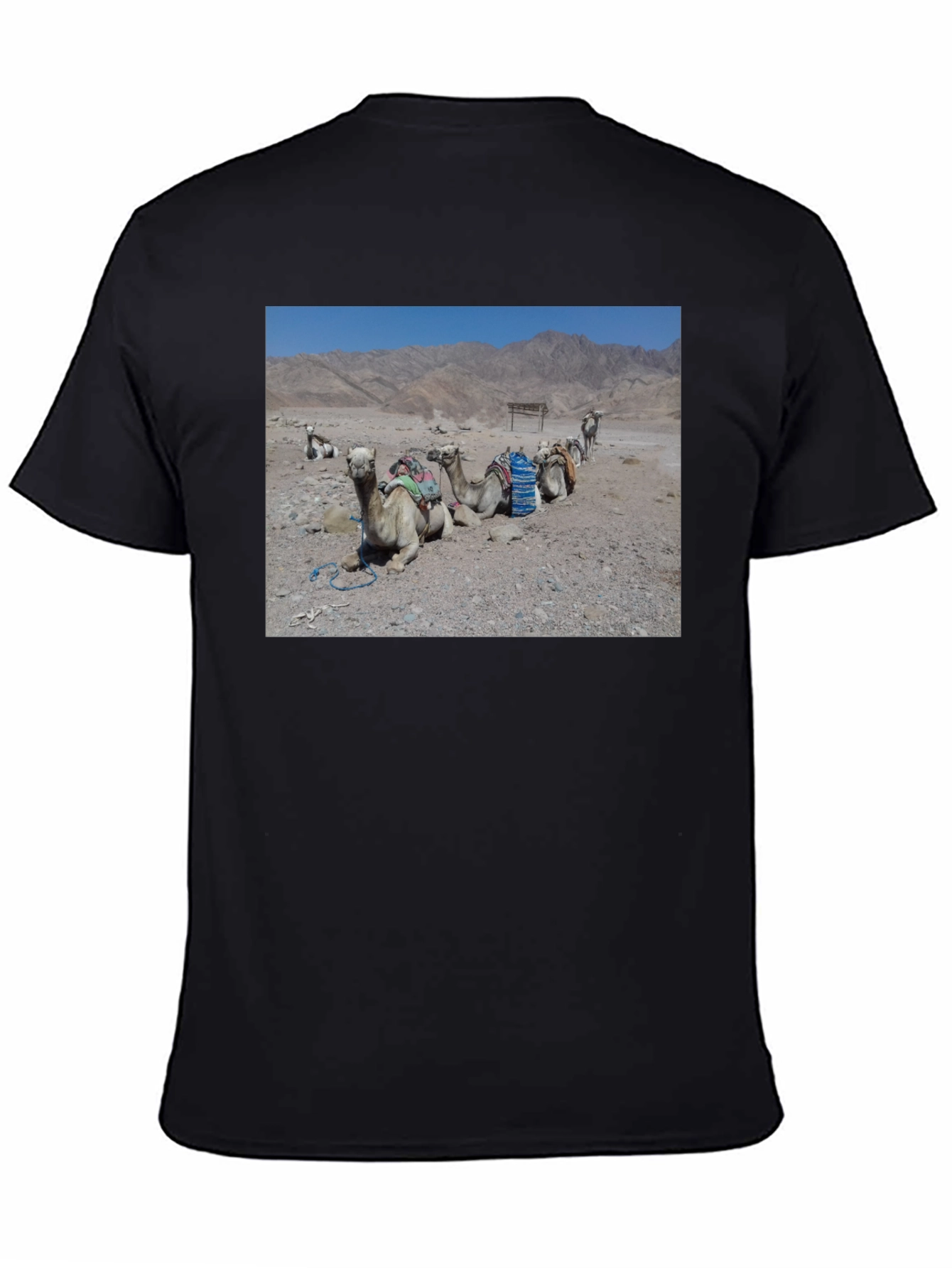 Camel Scene Graphic T-Shirt