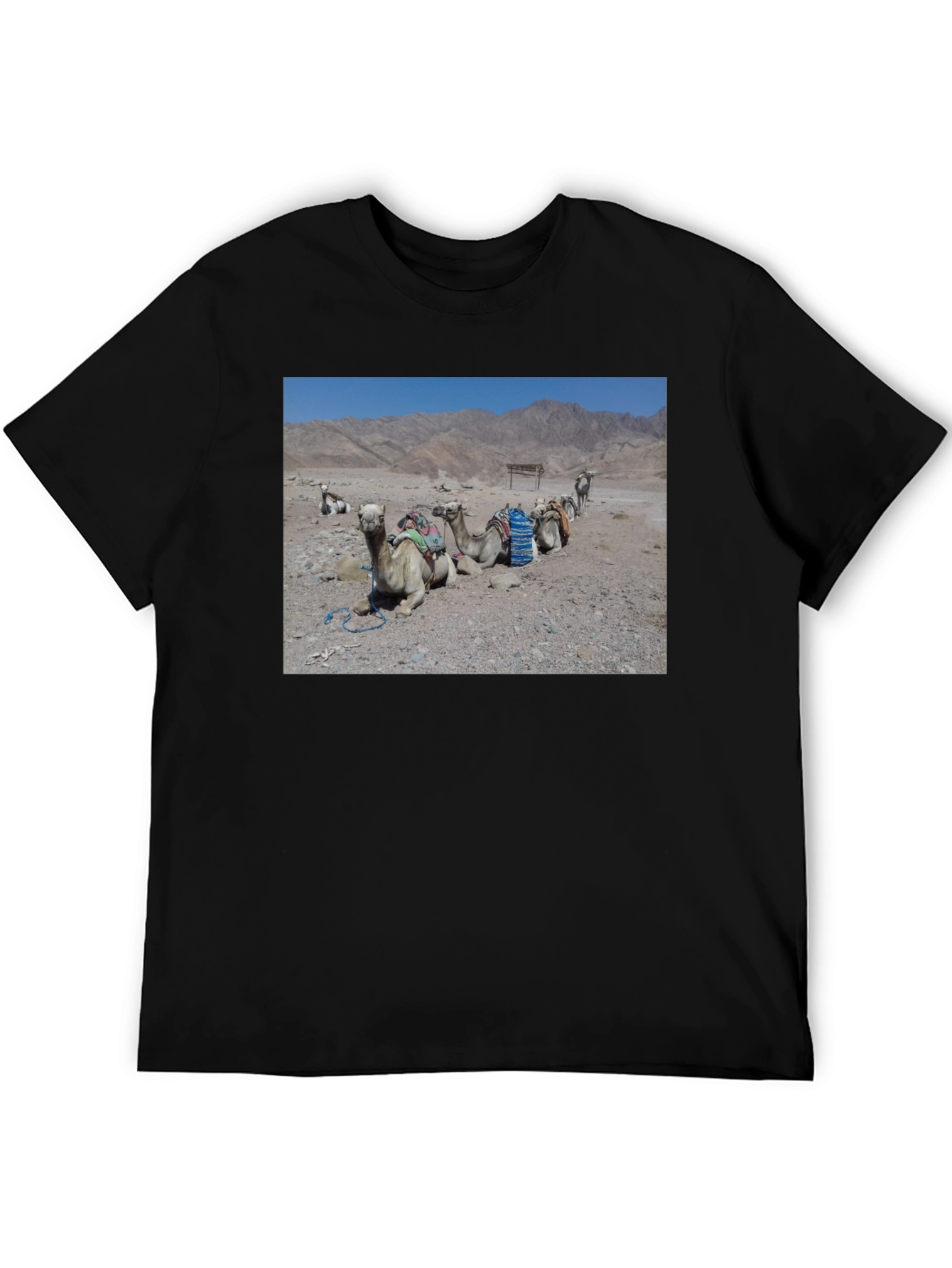 Camel Scene Graphic T-Shirt