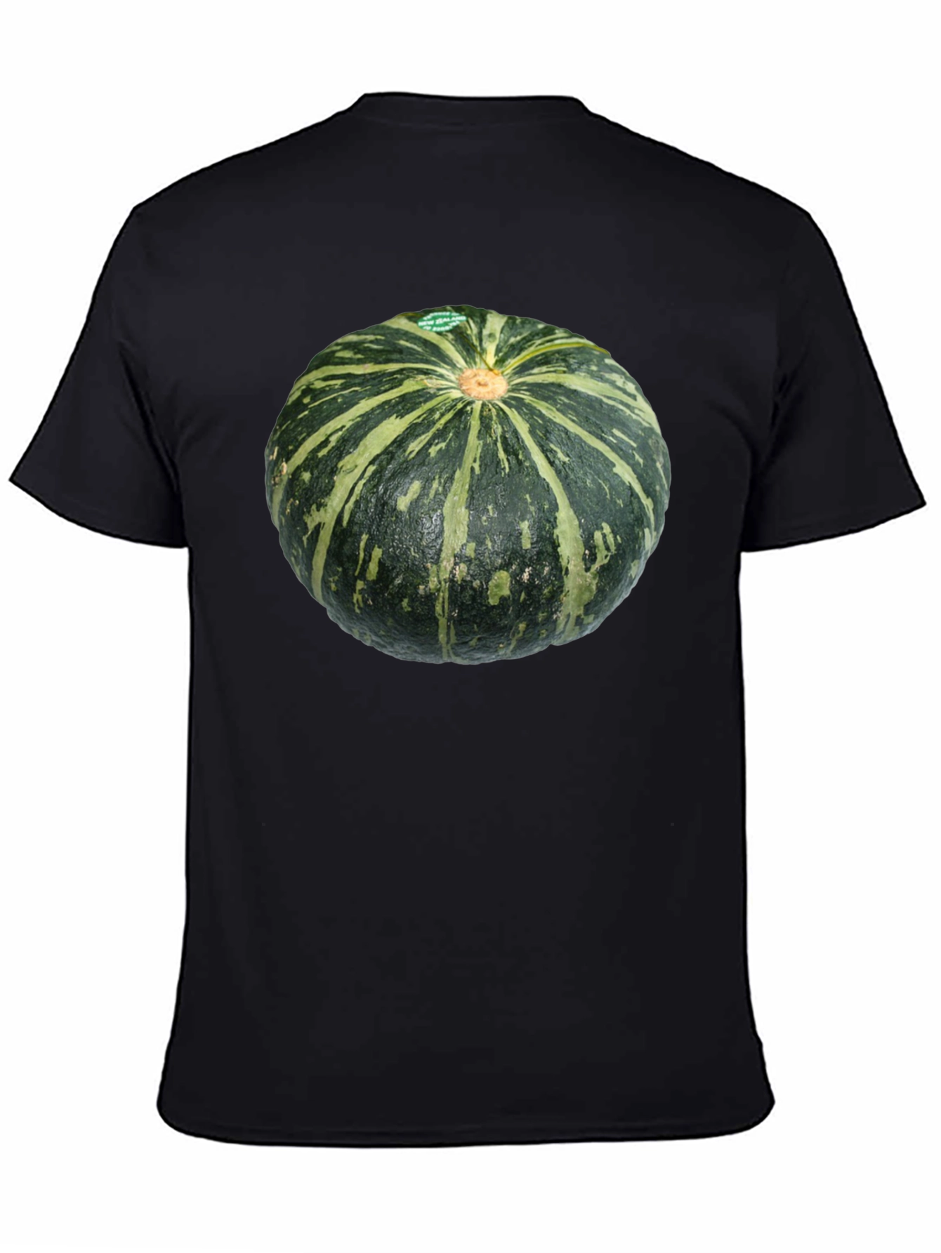 Kabocha Squash Graphic Tee - Unique Food Shirt