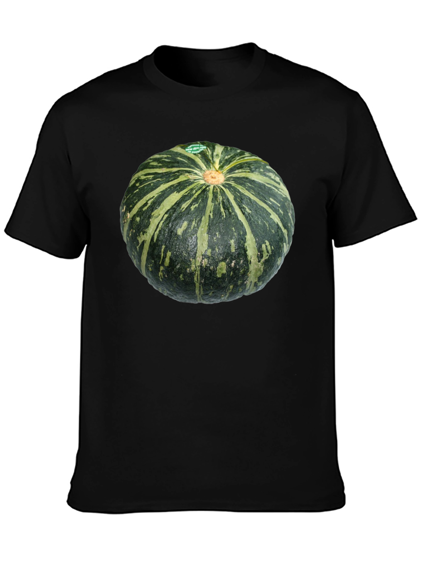 Kabocha Squash Graphic Tee - Unique Food Shirt