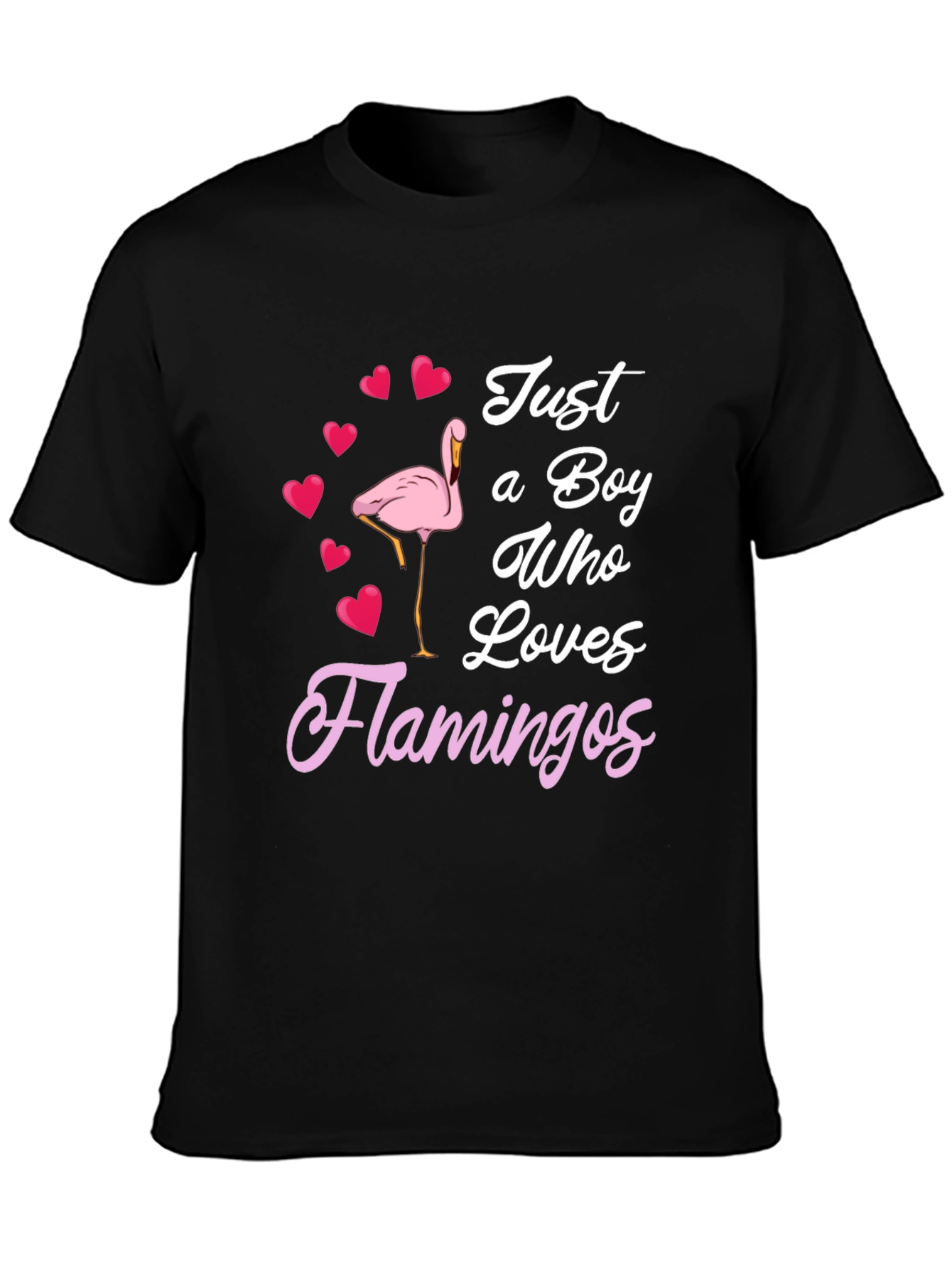 Boy Who Loves Flamingos T-Shirt