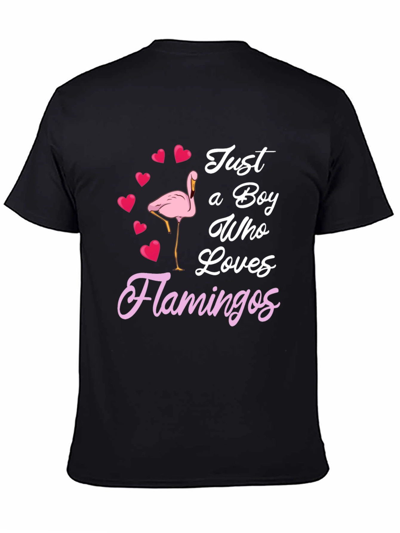 Boy Who Loves Flamingos T-Shirt