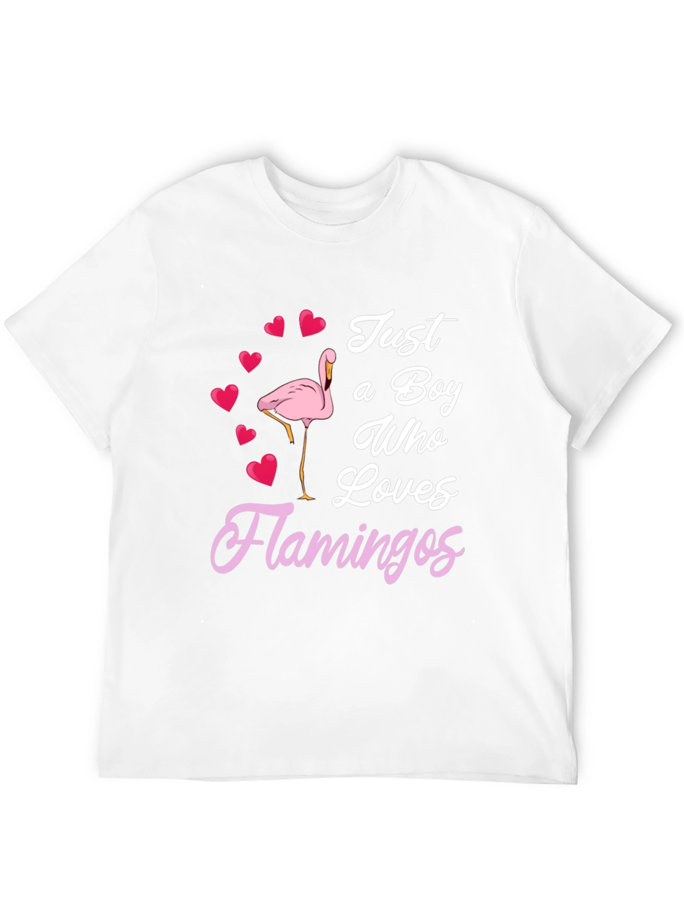 Boy Who Loves Flamingos T-Shirt