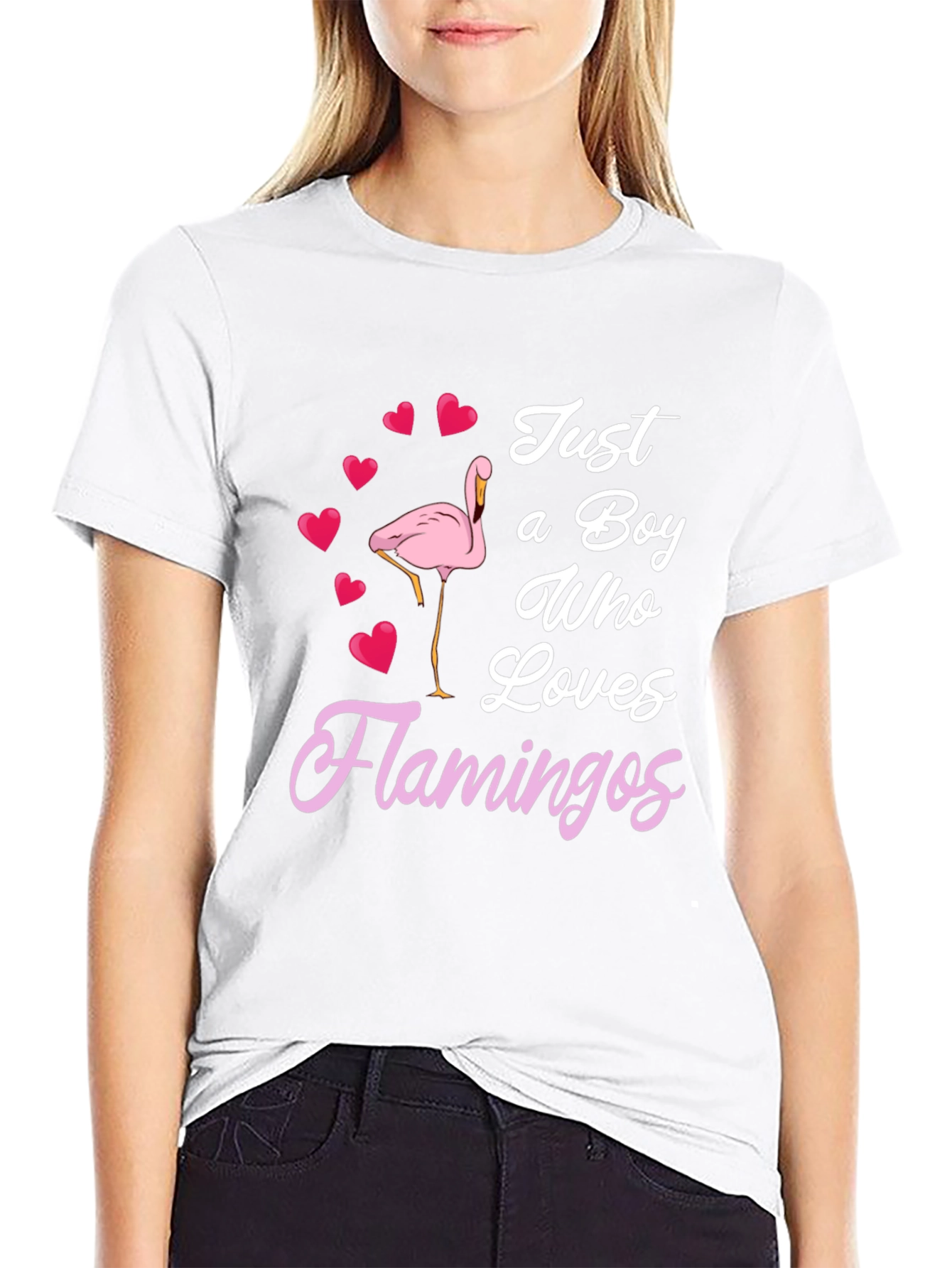 Boy Who Loves Flamingos T-Shirt