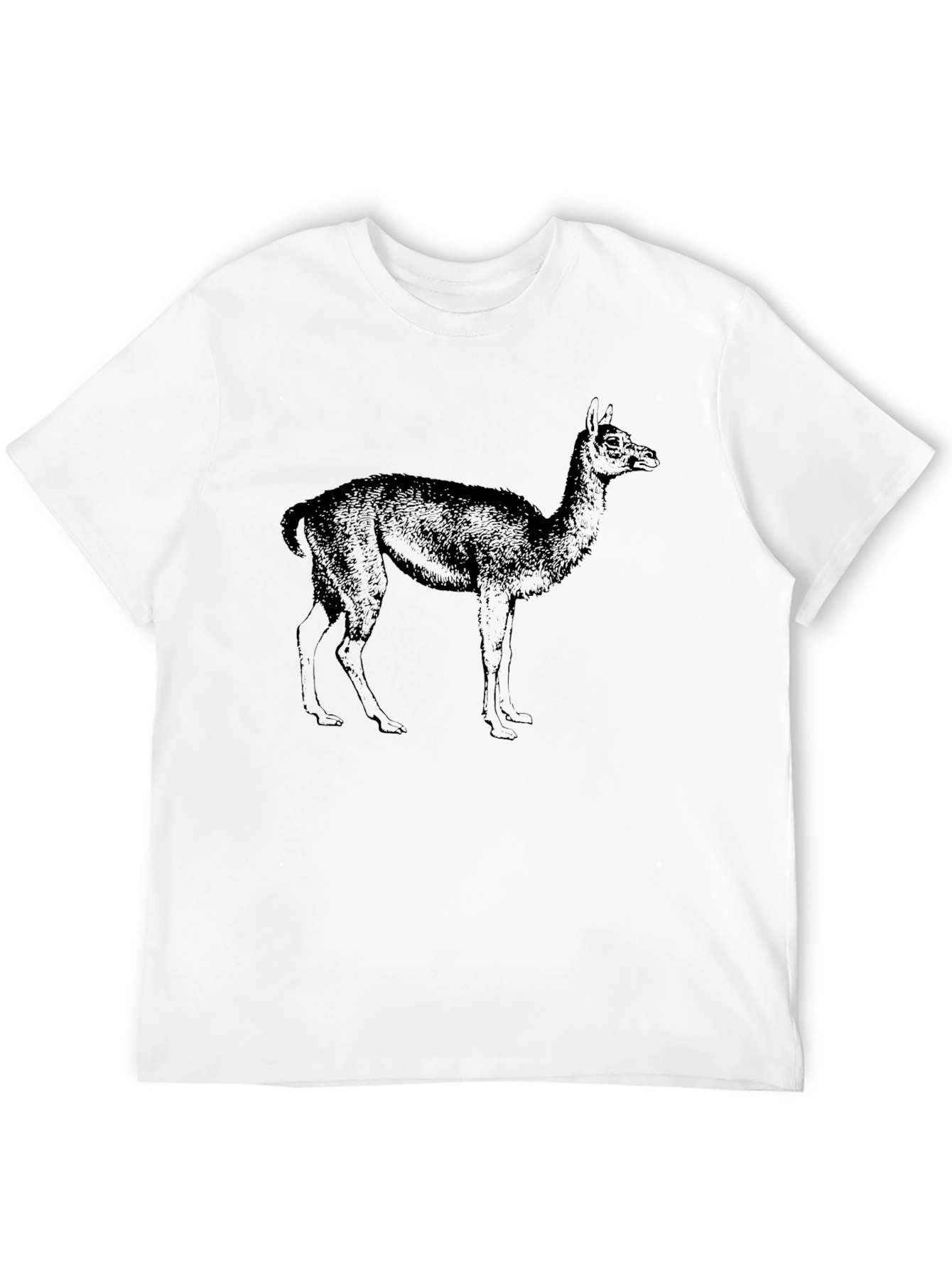 Llama Graphic Tee - Classic Black T-Shirt