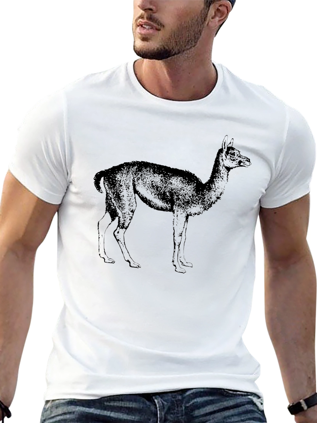 Llama Graphic Tee - Classic Black T-Shirt