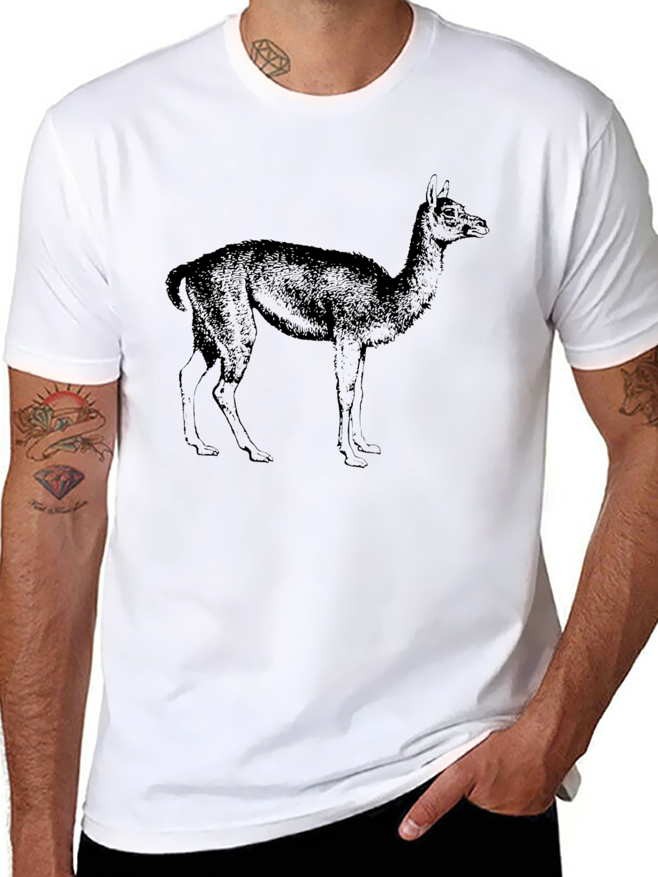 Llama Graphic Tee - Classic Black T-Shirt
