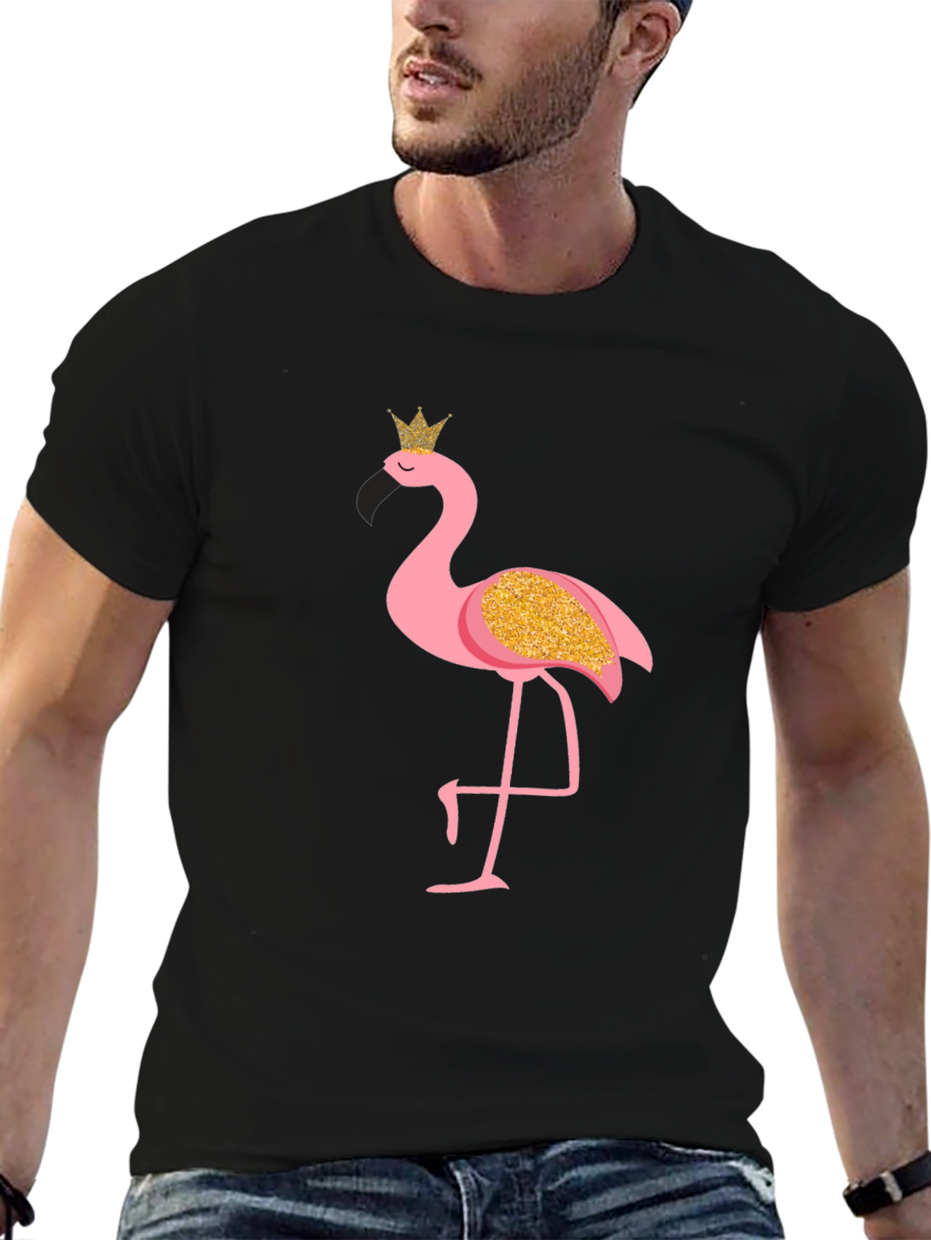 Mens Flamingo Graphic Print Black T-Shirt