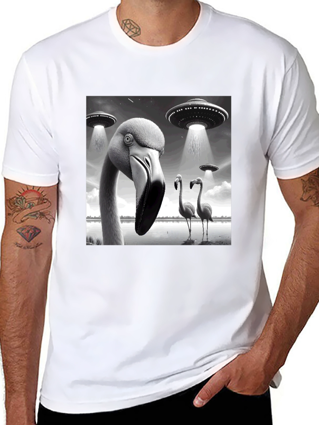 Black Flamingo UFO Abduction T-Shirt
