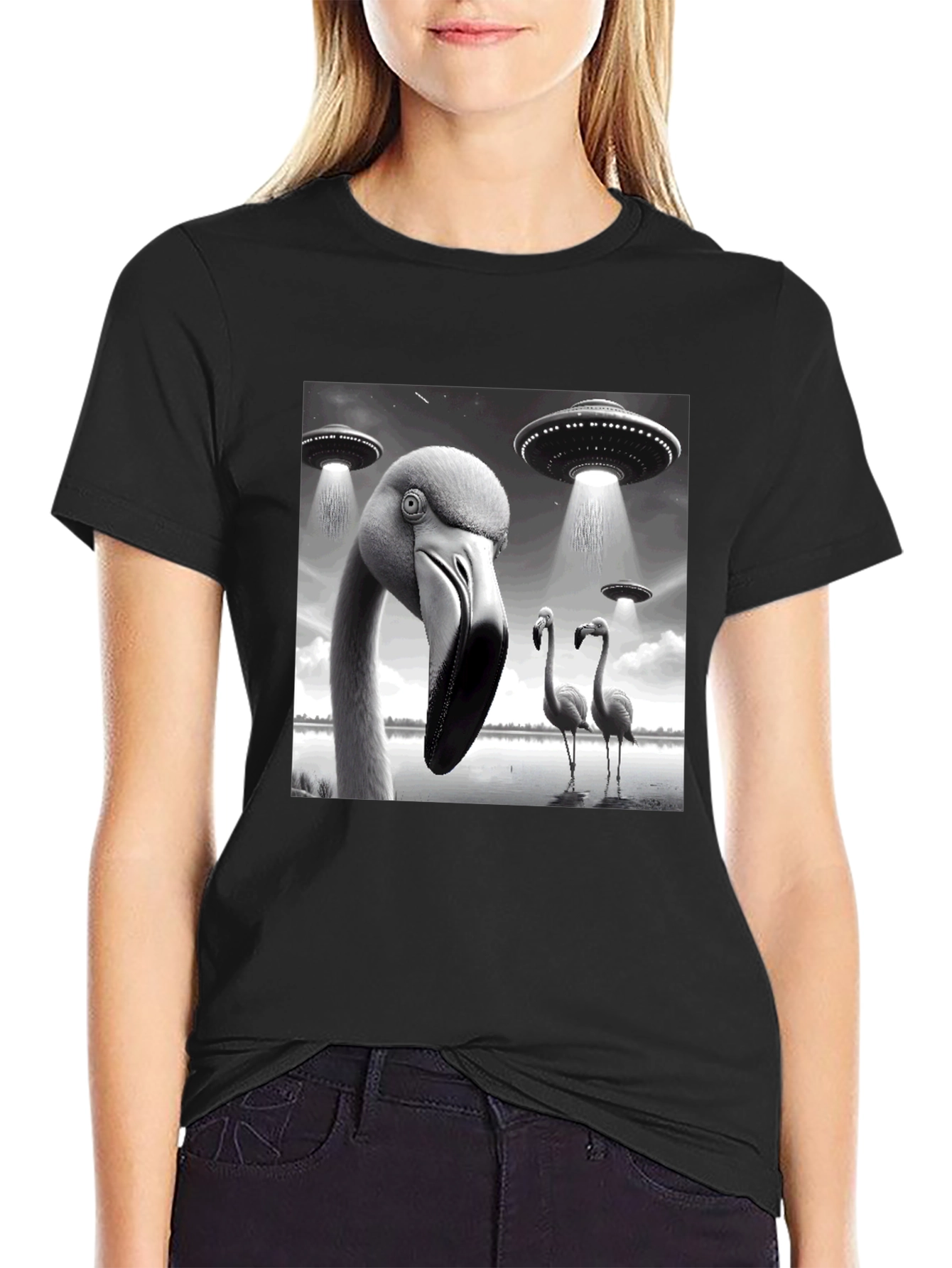 Black Flamingo UFO Abduction T-Shirt