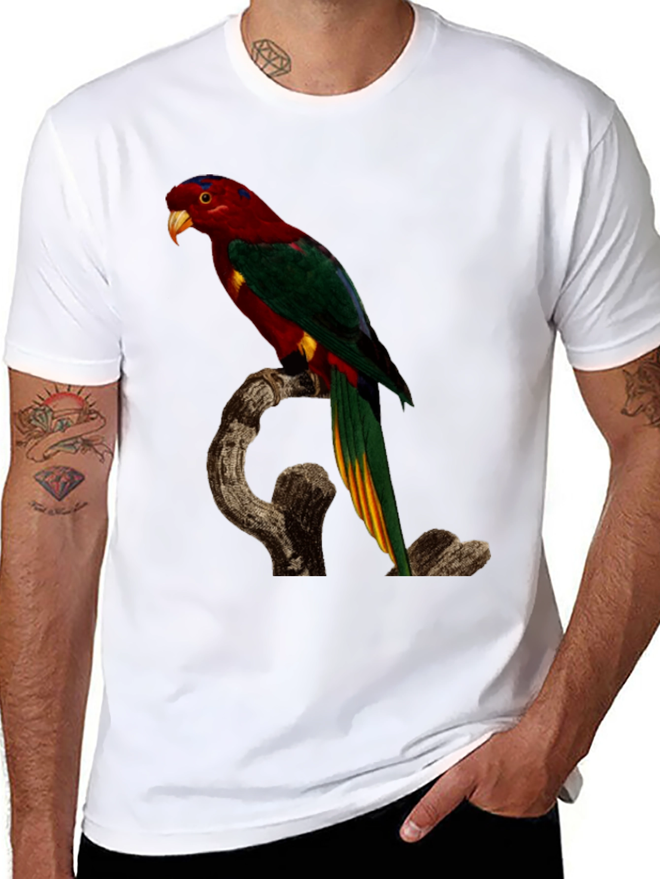 Parrot Print Black T-Shirt