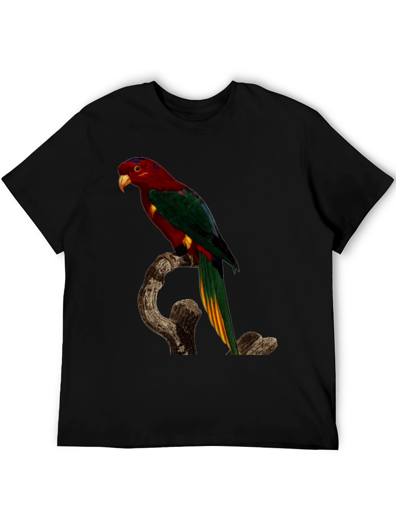 Parrot Print Black T-Shirt
