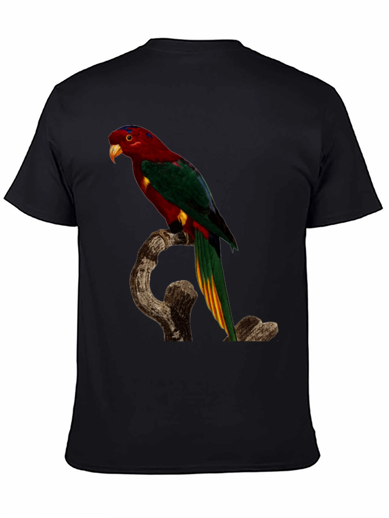 Parrot Print Black T-Shirt