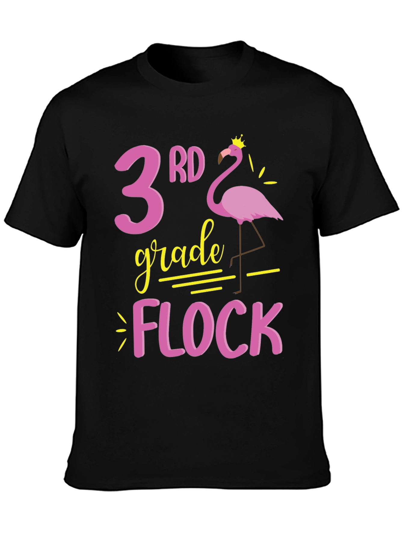 3rd Grade Flock T-Shirt