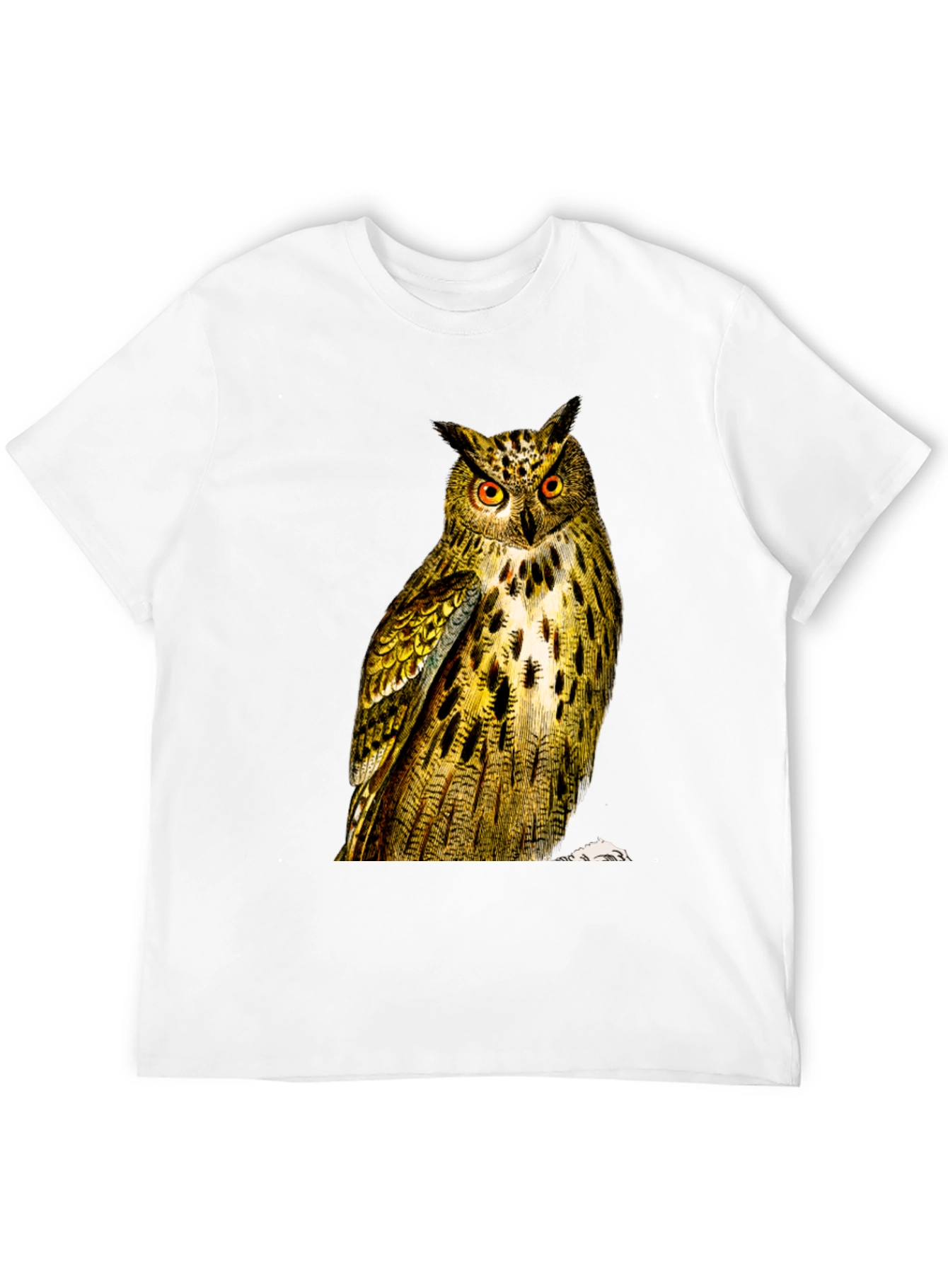 Owl Graphic Print Mens Black T-Shirt