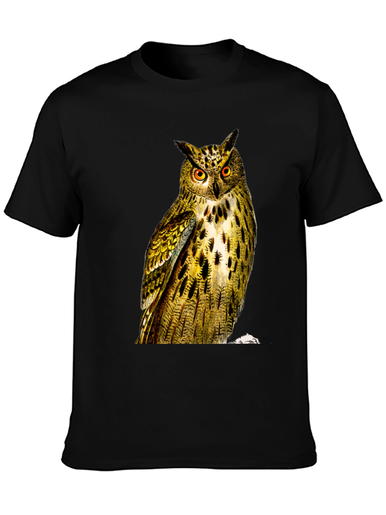 Owl Graphic Print Mens Black T-Shirt