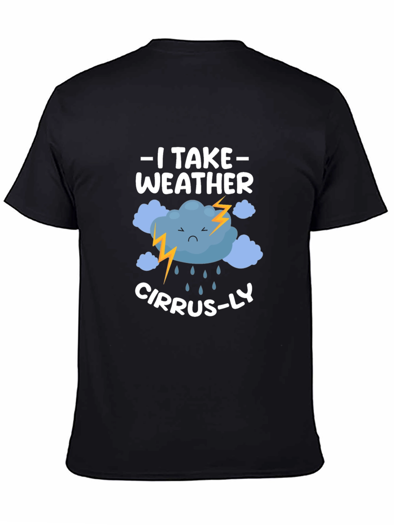 Weather Pun T-Shirt: I Take Weather Cirrus-ly